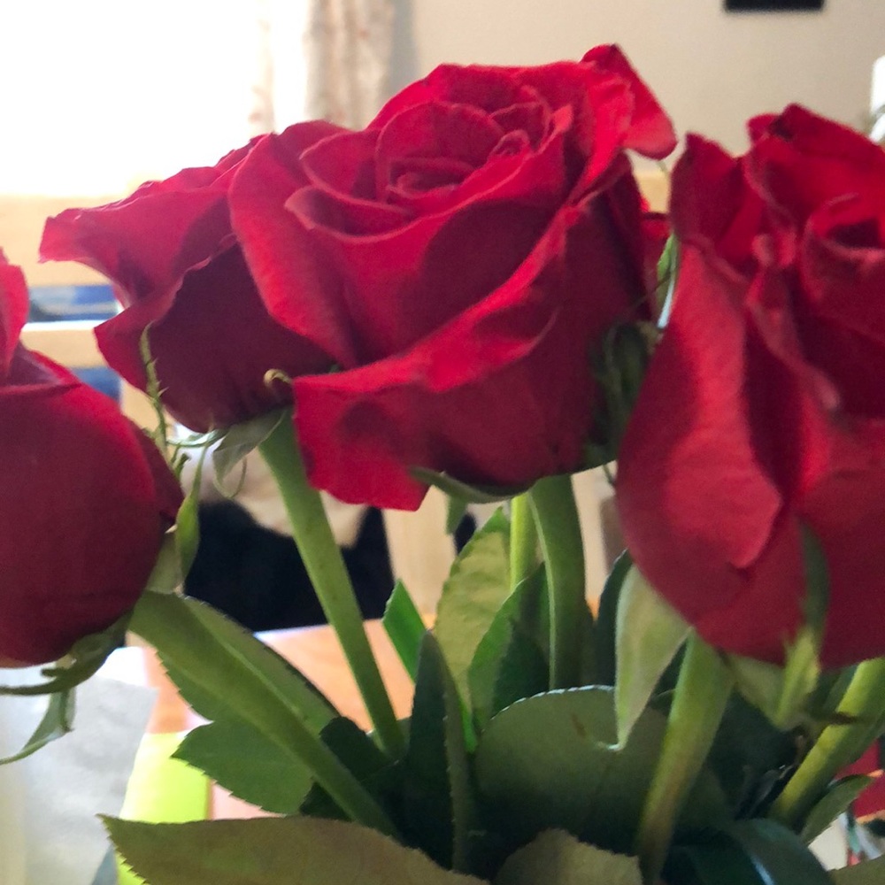 Meet your Posher, Carol